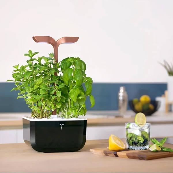 Véritable Exky SMART automatický květináč s regulací osvětlení (2ks Lingot) černý - Květináče - Obrázek 355897d940e14489a5dfc59dde4d5a3a