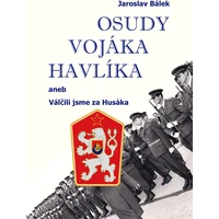 Osudy vojáka Havlíka - E-kniha