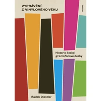 Vyprávění z vinylového věku  - E-kniha