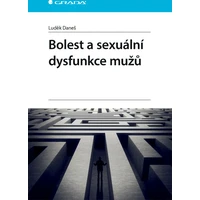 Bolest a sexuální dysfunkce mužů - E-kniha