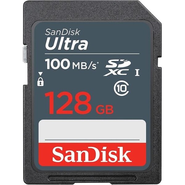 SanDisk SDSDUNR-128G-GN3IN Šedá
