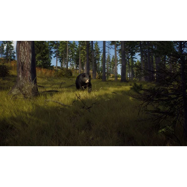 Way of the Hunter (Xbox Series X) - Hry pro Xbox One - Obrázek 36PB100501
