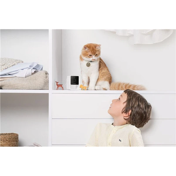 PetCube Cam bezpečnostní kamera - Kamery - Obrázek 36T5000J01