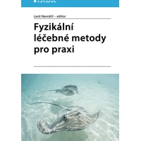 Fyzikální léčebné metody pro praxi - E-kniha