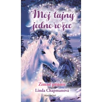 Môj tajný jednorožec 7: Zimné prianie - E-kniha