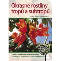 Okrasné rostliny tropů a subtropů - E-kniha