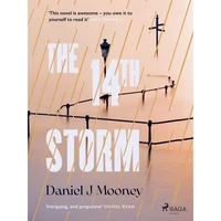 The 14th Storm - E-kniha