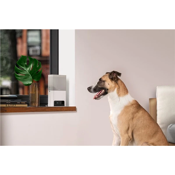 Petcube Bites 2 Lite bílý dávkovač pamlsků s kamerou - IP kamery - Obrázek 38T5000J01