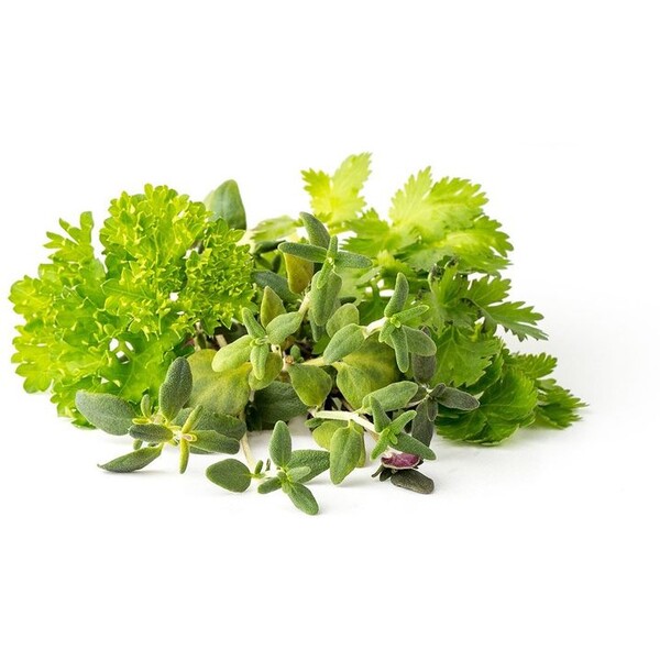 Click and Grow Mix Steakový mix kapsle se semínky a substrátem 9ks