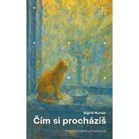 Čím si procházíš - E-kniha