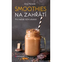 Smoothies na zahřátí - E-kniha