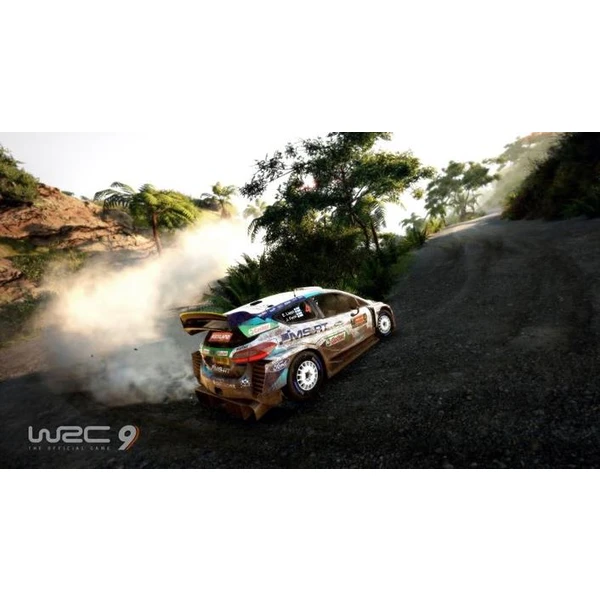 WRC 9 (SWITCH) - Hry pro Nintendo Switch - Obrázek 3GEO600301