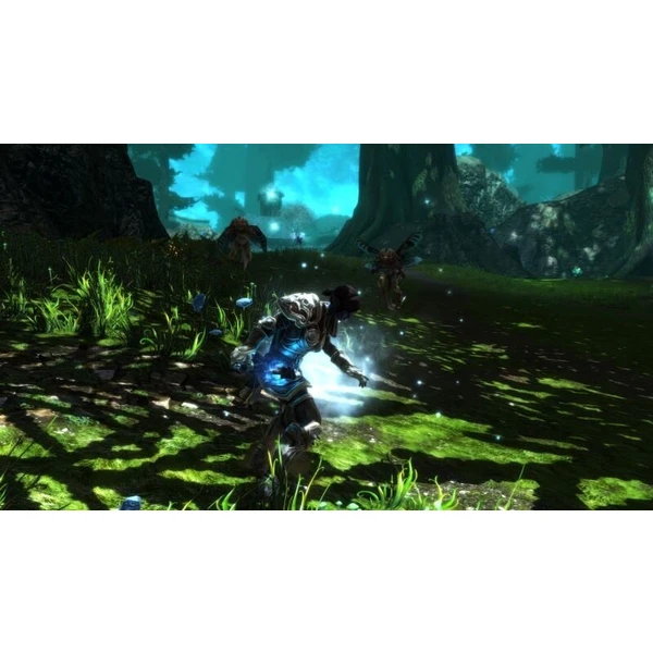 Kingdoms of Amalur: Re-Reckoning (SWITCH) - Hry pro Nintendo Switch - Obrázek 3LEO600301