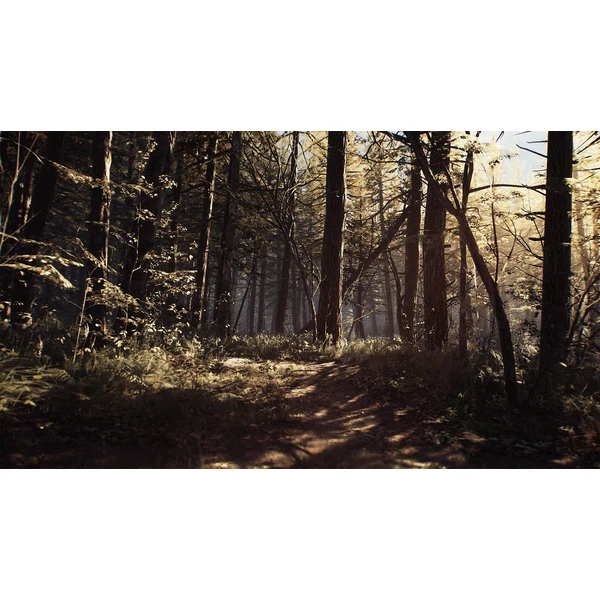 Blair Witch (PS4) - Hry pro PS4 - Obrázek 3SS3100201