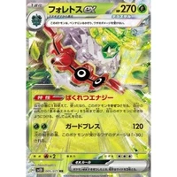 Forretress ex (sv2D) - Clay Burst [Holo] - Kusové karty