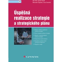 Úspěšná realizace strategie a strategického plánu - E-kniha