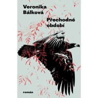 Přechodné období - E-kniha