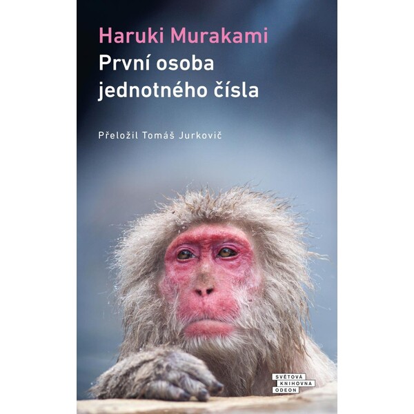 První osoba jednotného čísla