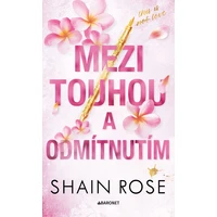 Mezi touhou a odmítnutím  - E-kniha