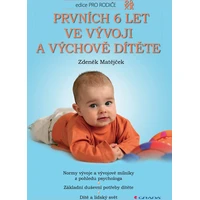 Prvních 6 let ve vývoji a výchově dítěte - E-kniha