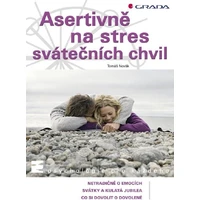 Asertivně na stres svátečních chvil - E-kniha