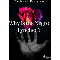 Why is the Negro Lynched? - E-kniha