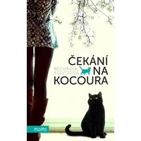 Čekání na kocoura - E-kniha