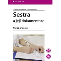 Sestra a její dokumentace - E-kniha