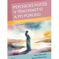 Psychické potíže v těhotenství a po porodu - E-kniha