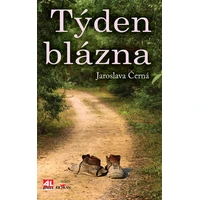 Týden blázna - E-kniha