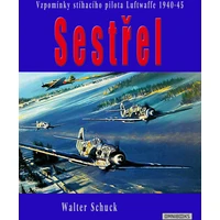 Sestřel - E-kniha