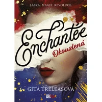 Enchantée  - E-kniha
