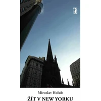Žít v New Yorku - E-kniha