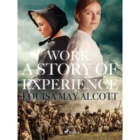 Work: A Story of Experience - E-kniha