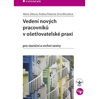 Vedení nových pracovníků v ošetřovatelské praxi - E-kniha