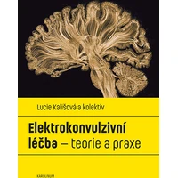 Elektrokonvulzivní léčba – teorie a praxe - E-kniha