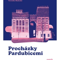 Procházky Pardubicemi - E-kniha