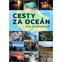 Cesty za oceán - E-kniha