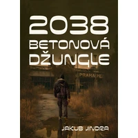 2038 - E-kniha