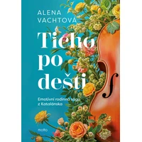 Ticho po dešti - E-kniha