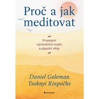 Proč a jak meditovat - E-kniha