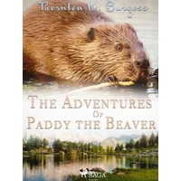 The Adventures of Paddy the Beaver - E-kniha