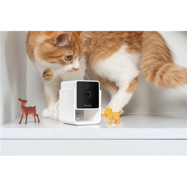 PetCube Cam bezpečnostní kamera - Kamery - Obrázek 46T5000J01