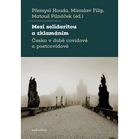 Mezi solidaritou a zklamáním - E-kniha