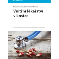 Vnitřní lékařství v kostce - E-kniha