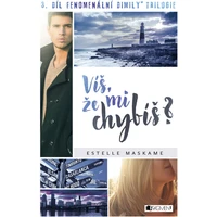 Víš, že mi chybíš? - E-kniha