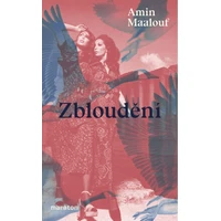 Zbloudění - E-kniha
