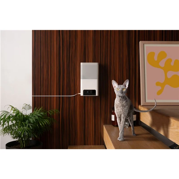 Petcube Bites 2 Lite bílý dávkovač pamlsků s kamerou - IP kamery - Obrázek 48T5000J01
