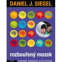 Rozbouřený mozek - E-kniha