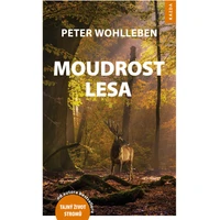 Moudrost lesa - E-kniha